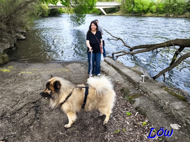 20.4.2025 - Kontrolle